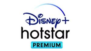Disney+ Hotstar Premium 12 мес. Subscription IN