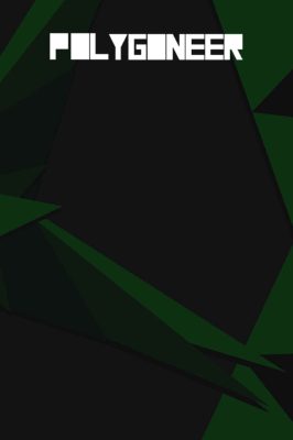 Polygoneer Steam Ключ