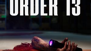 ORDER 13 EU PC Steam Ключ