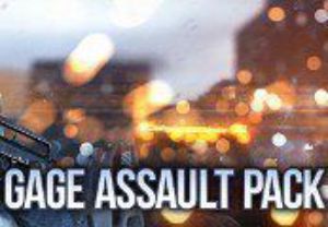 PAYDAY 2: Gage Assault Pack Steam Ключ