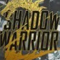 Shadow Warrior 2 EU Steam Ключ