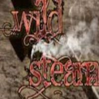 RPG Maker VX Ace - Wild Steam Resource Pack DLC Steam Ключ