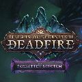 Pillars of Eternity — Ключи активации