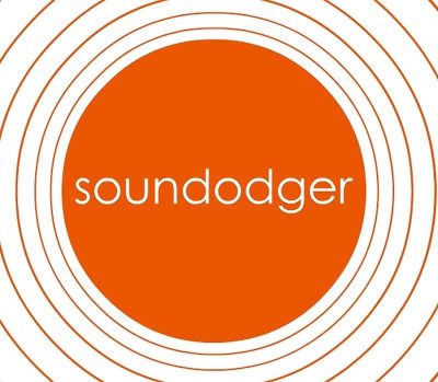 Soundodger+ Steam Ключ