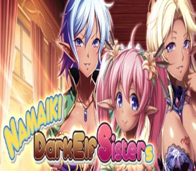 Namaiki Dark Elf Sisters Steam Ключ