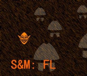 S&M: FL Steam Ключ
