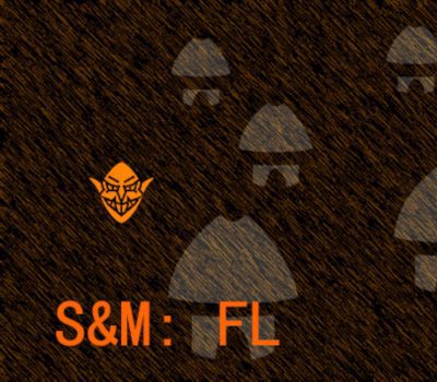 S&M: FL Steam Ключ