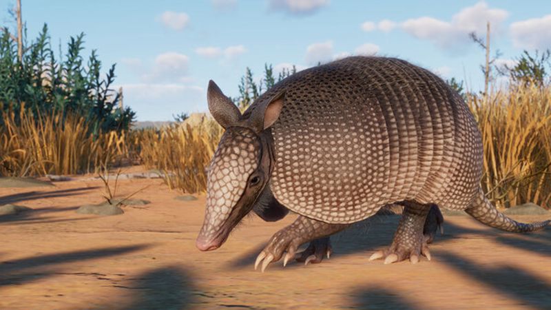 Screenshot 25