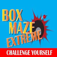 Box Maze Extreme Steam Ключ