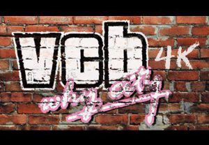 VCB: Why City 4k Steam Ключ