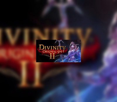 Divinity: Original Sin 2 GOG Ключ