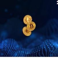 Rewarble Crypto (BTC) EUR 9 Подарочная карта