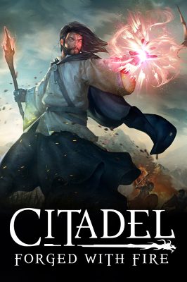 Citadel: Forged with Fire PC Steam Ключ