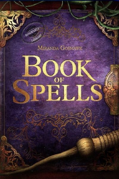 Book of Spells PC Steam CD Key