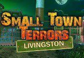 Small Town Terrors: Livingston Steam Ключ