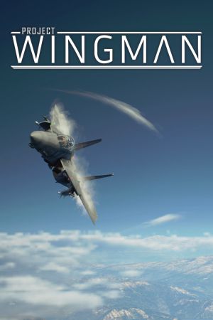 Project Wingman AU Steam Ключ