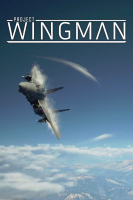 Project Wingman AU Steam Ключ