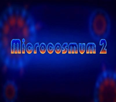 Microcosmum 2 Steam Ключ