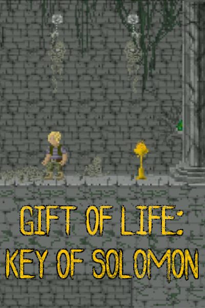 Gift of Life: Key of Solomon PC Steam CD Key