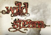 RPG Maker: Wild Steam Resource Pack Steam Ключ