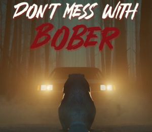 Don't Mess With Bober PS5 Аккаунт