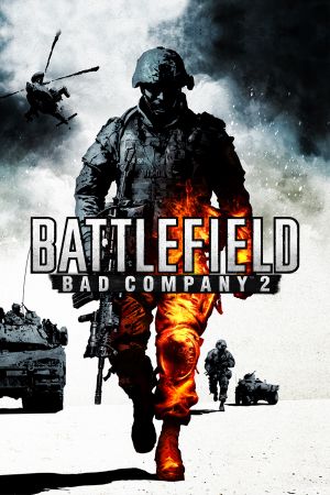 Battlefield Bad Company 2 RU VPN Required Steam Подарок
