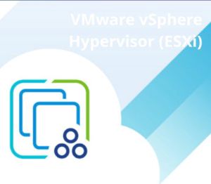 VMware vSphere Hypervisor ESXI 6.5 US Ключ