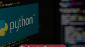 Python for Beginners – Coding Basics for New Programmers John Academy Code