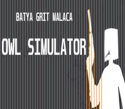 Owl Simulator Steam Ключ