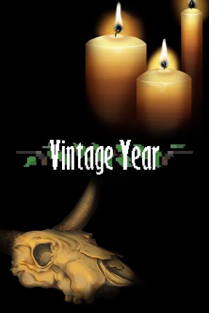 Vintage Year Steam Ключ