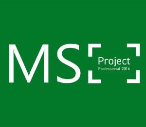 MS Project Professional 2016 Ключ