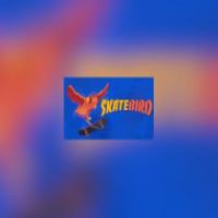SkateBIRD PC Steam Альтергифт