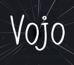 Vojo Steam Ключ