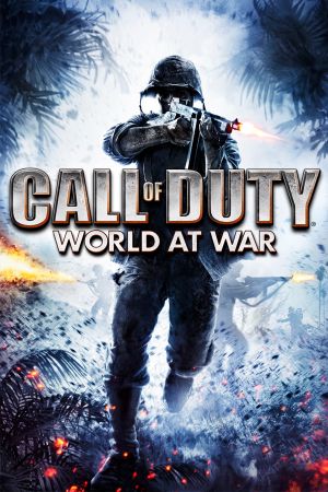 Call of Duty: World at War SEA PC Steam Gift