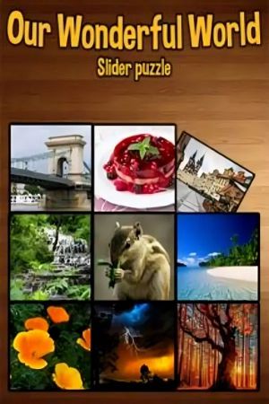 Our Wonderful World Steam Ключ