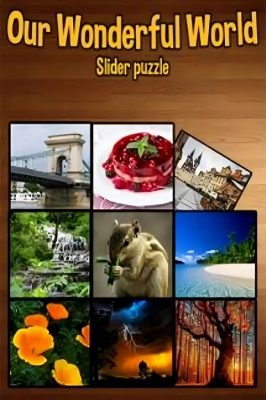 Our Wonderful World Steam Ключ