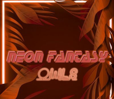 Neon Fantasy: Owls PC Steam CD Key