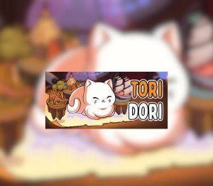 ToriDori Steam Ключ