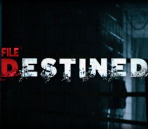 File Destined Xbox Series X|S Аккаунт