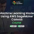 Machine Learning Model Using AWS SageMaker Canvas — Other