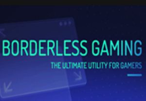Borderless Gaming Steam Подарок