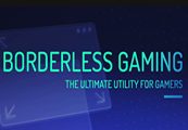 Borderless Gaming Steam Подарок