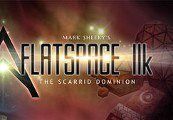Flatspace IIk Steam Ключ