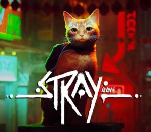 Stray ASIA PC Steam Ключ
