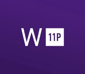 Windows 11 Professional OEM 10 Keys Набор