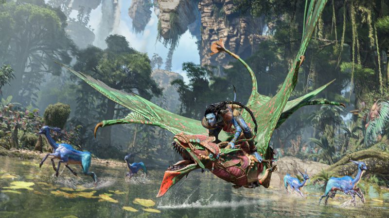 Screenshot 11