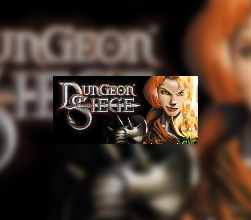 Dungeon Siege PC Steam Ключ