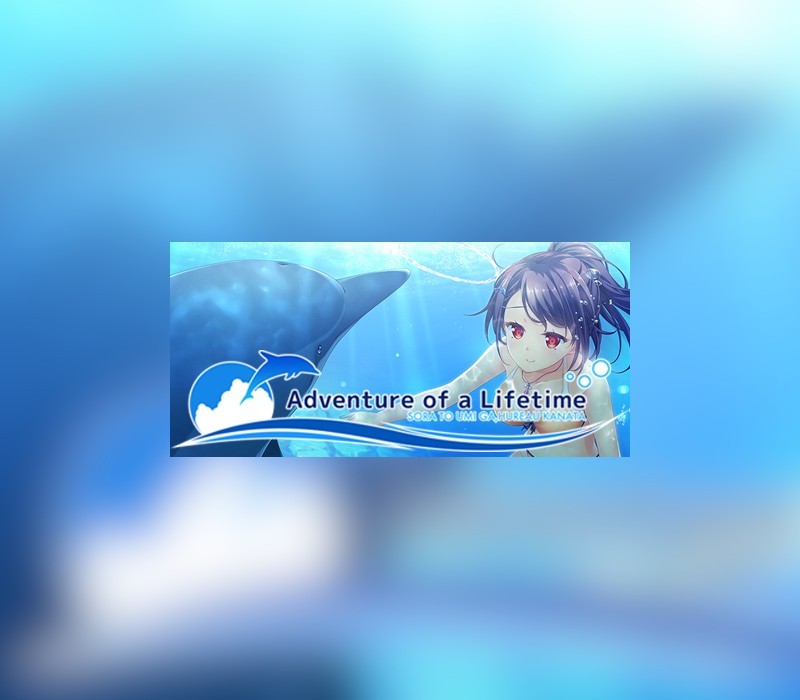 Adventure of a Lifetime PC Steam Ключ