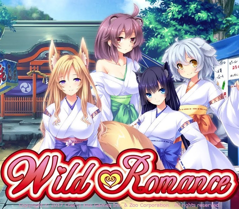 Wild Romance EU Steam Ключ