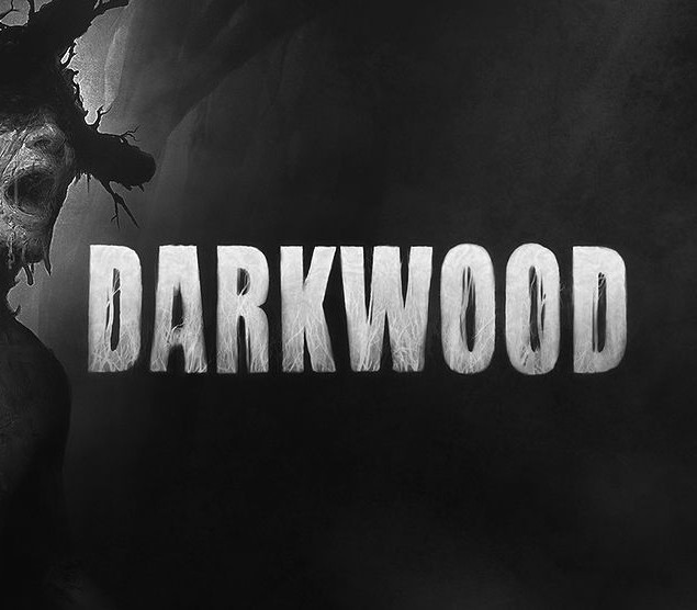 Darkwood LATAM PC Steam Ключ